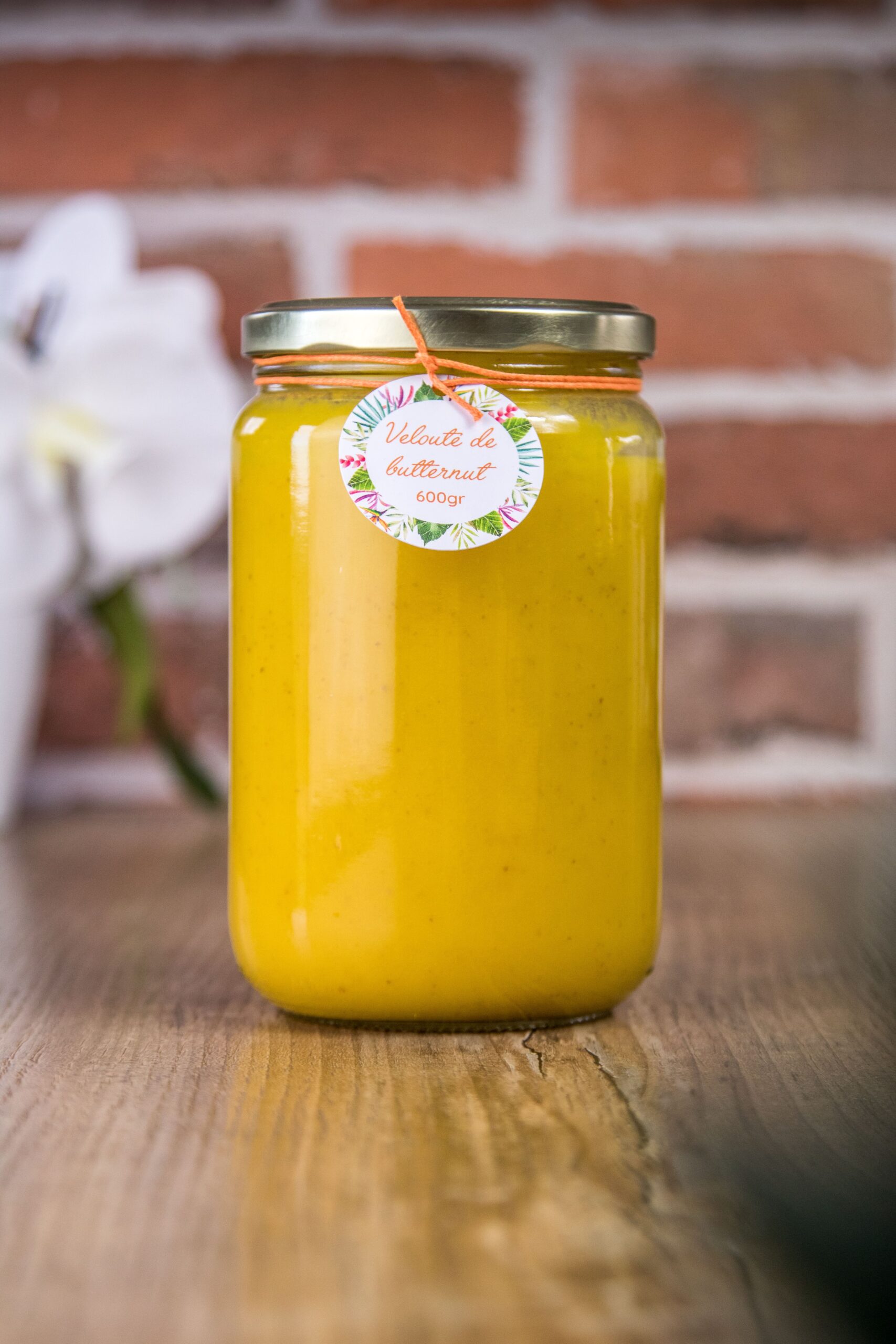 veloute-butternut-600